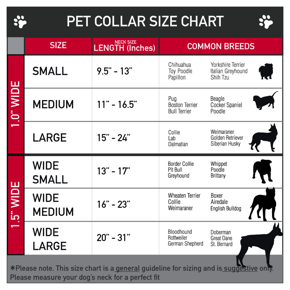 WHEEL OF FORTUNE Cash Prize Wedges Multi Color/White Dog Collar