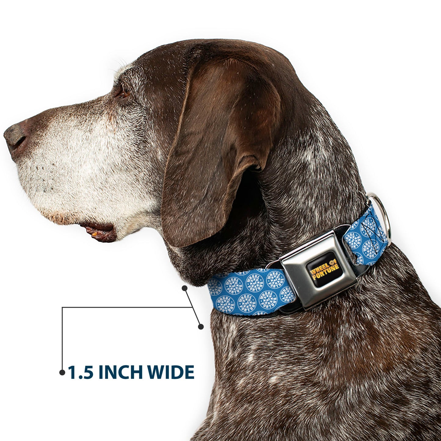 WHEEL OF FORTUNE Monogram Logo Blue/White Dog Collar