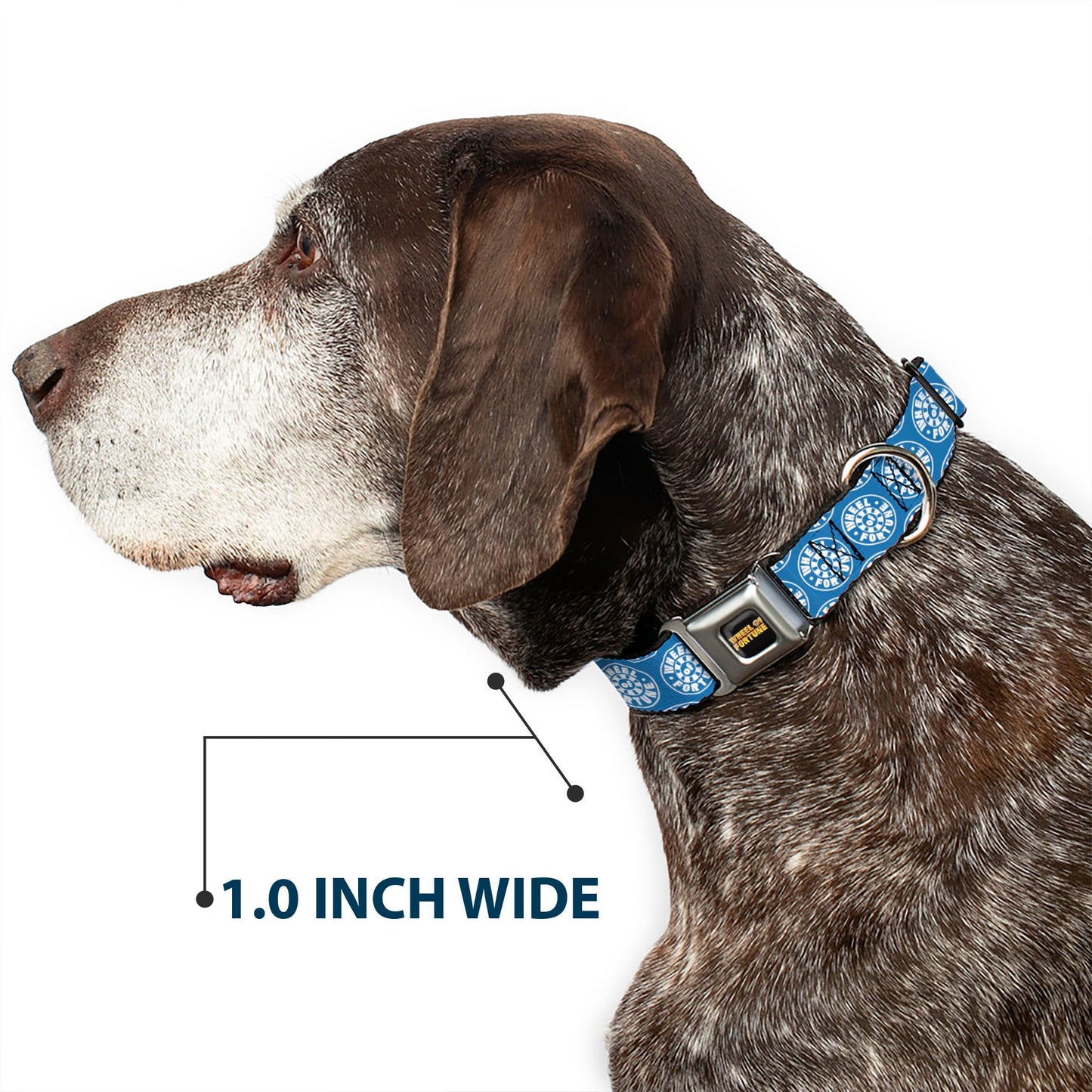 WHEEL OF FORTUNE Logo Blue/White Dog Collar