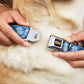 WHEEL OF FORTUNE Logo Blue/White Dog Collar