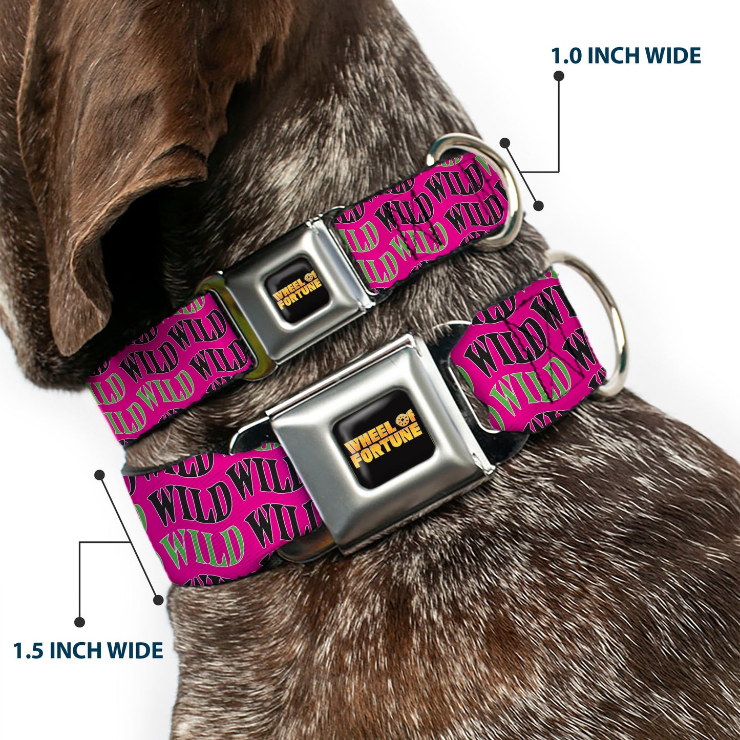 Wheel of Fortune WILD Text Wave Pink/Green/Black Dog Collar