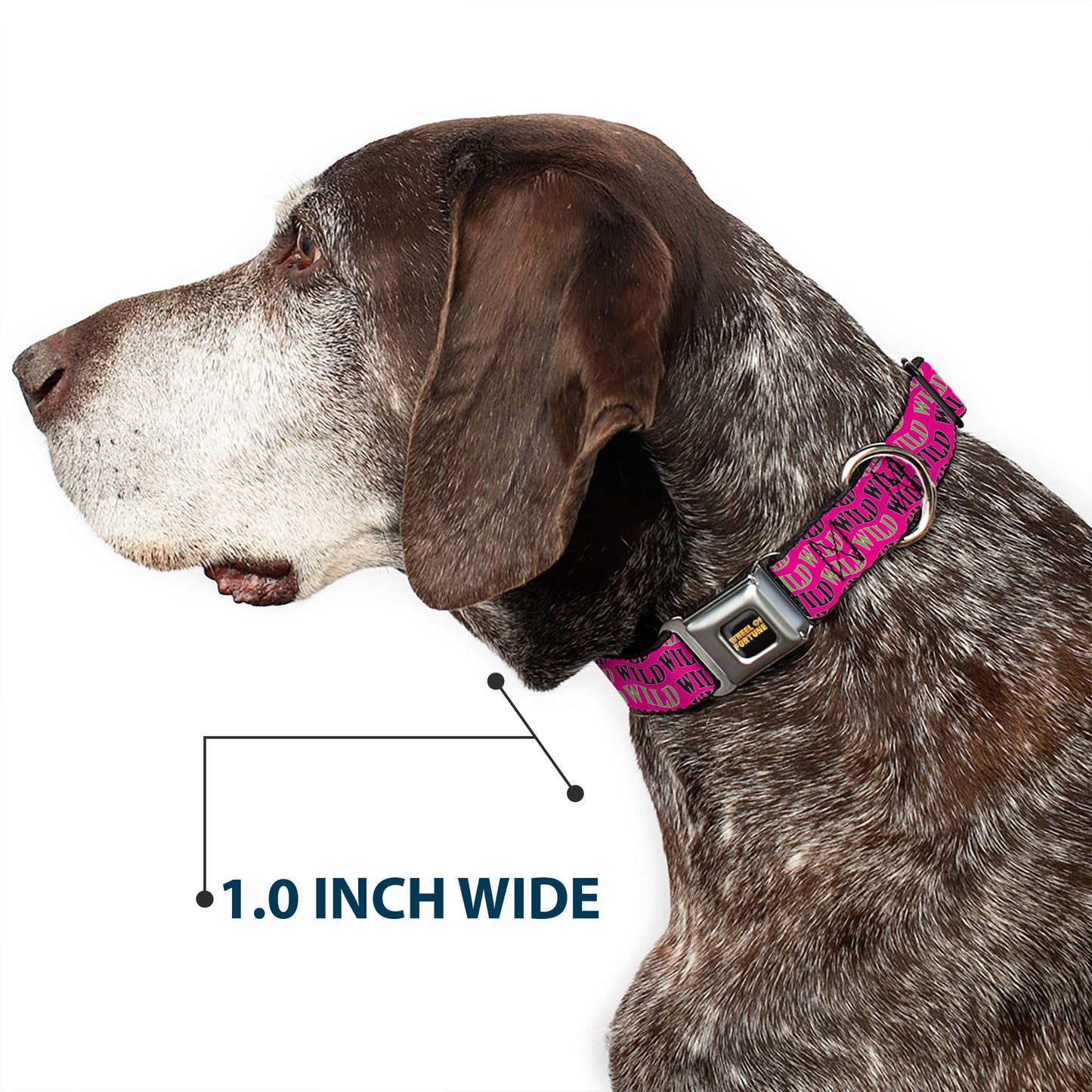 Wheel of Fortune WILD Text Wave Pink/Green/Black Dog Collar