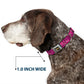Wheel of Fortune WILD Text Wave Pink/Green/Black Dog Collar