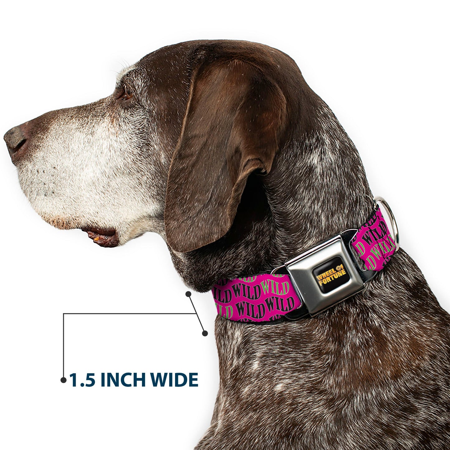 Wheel of Fortune WILD Text Wave Pink/Green/Black Dog Collar