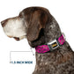 Wheel of Fortune WILD Text Wave Pink/Green/Black Dog Collar