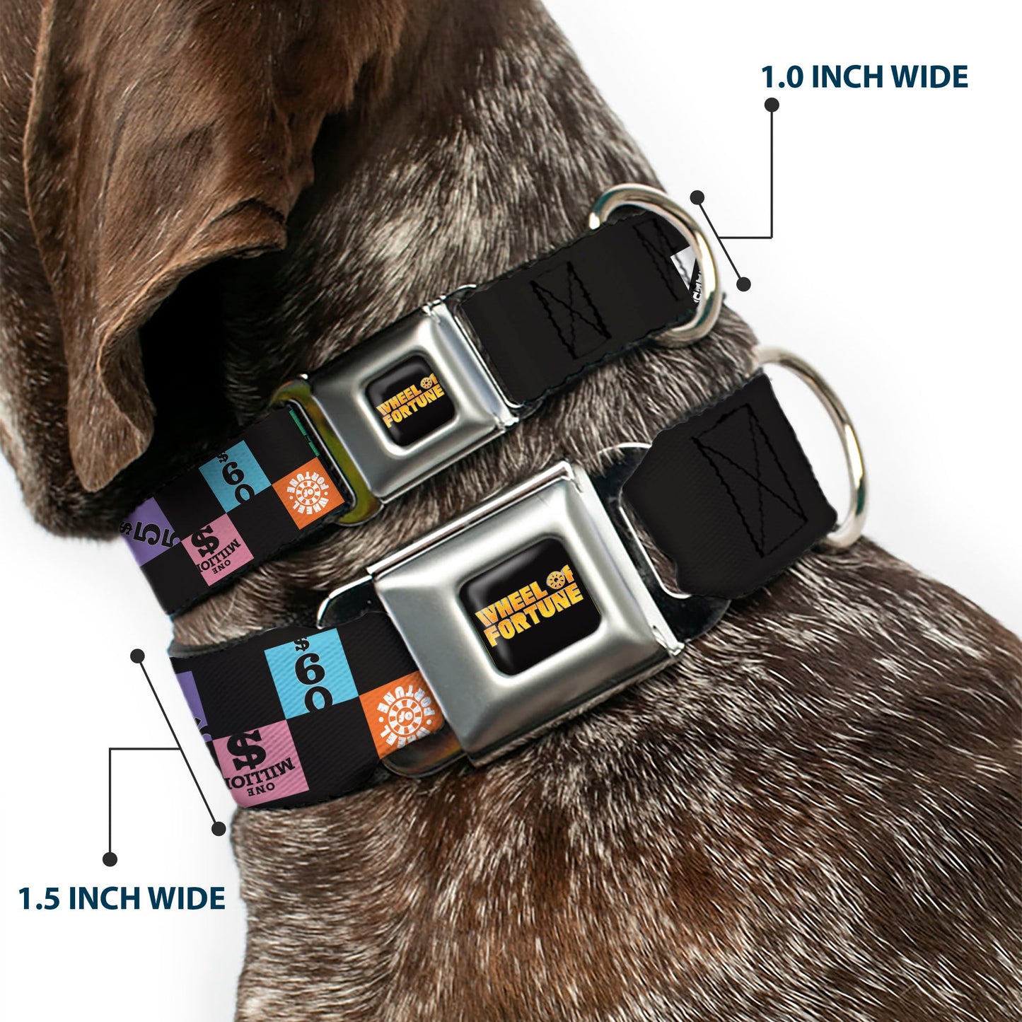 WHEEL OF FORTUNE Checker Icons Black/Multi Color Dog Collar
