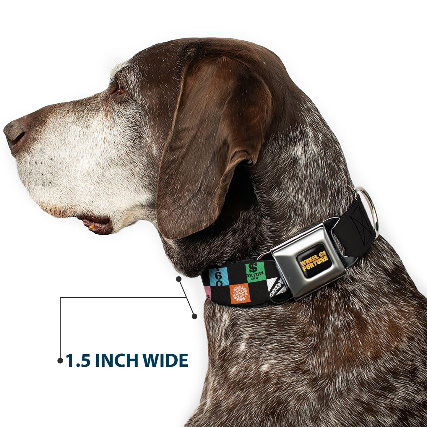 WHEEL OF FORTUNE Checker Icons Black/Multi Color Dog Collar