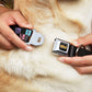 WHEEL OF FORTUNE Checker Icons Black/Multi Color Dog Collar