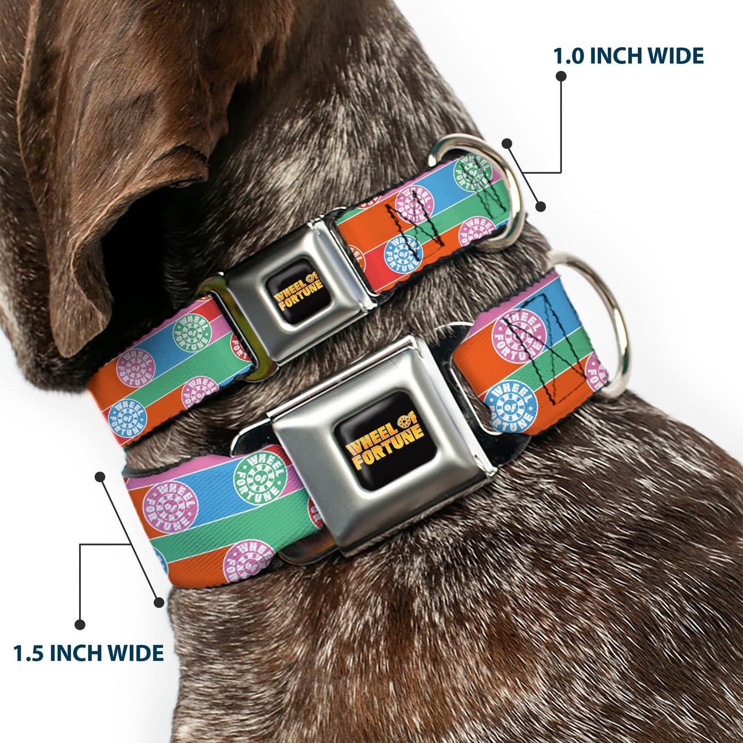 WHEEL OF FORTUNE Wheels Collage Multi Color Dog Collar