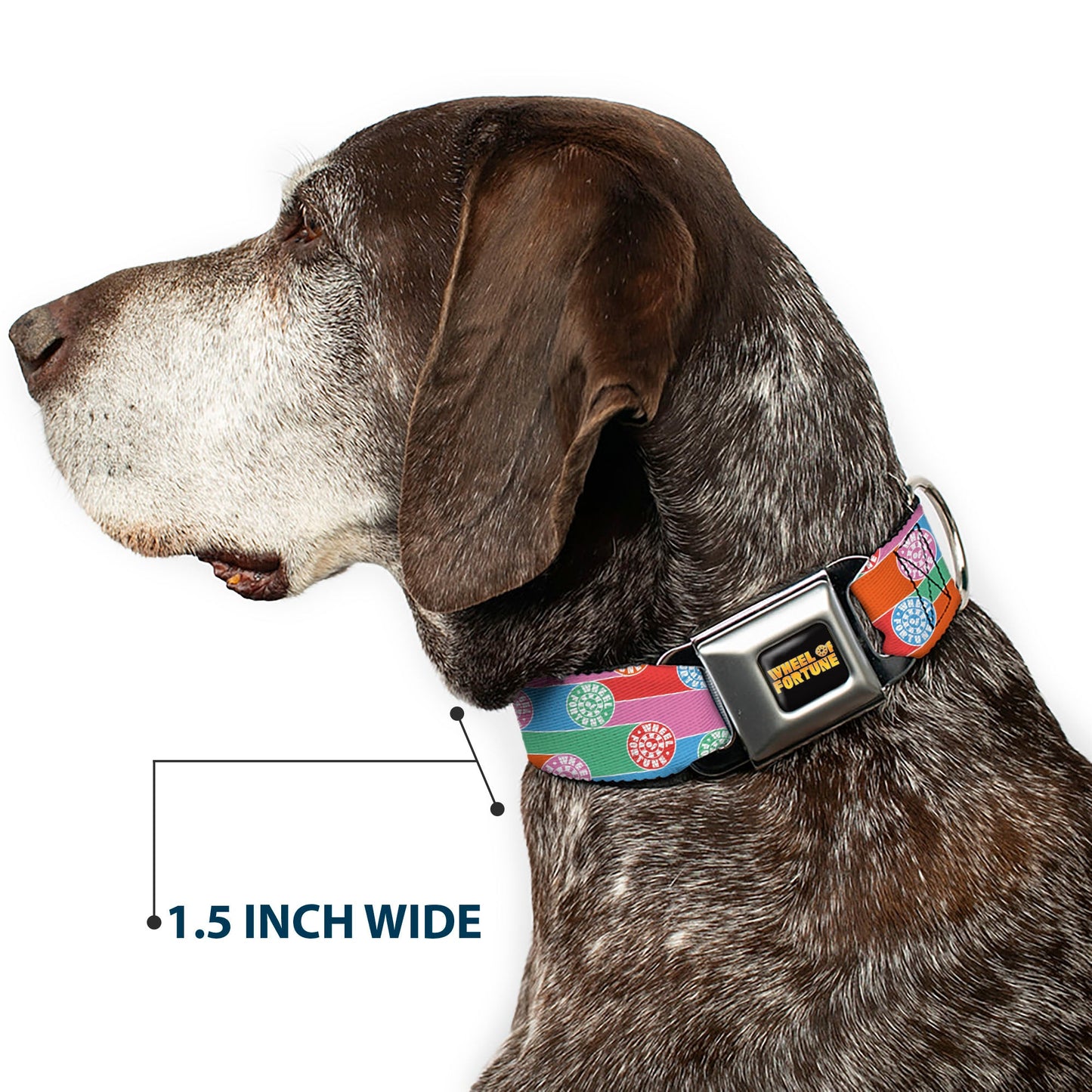 WHEEL OF FORTUNE Wheels Collage Multi Color Dog Collar