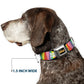 WHEEL OF FORTUNE Cash Prize Wedges Multi Color/White Dog Collar
