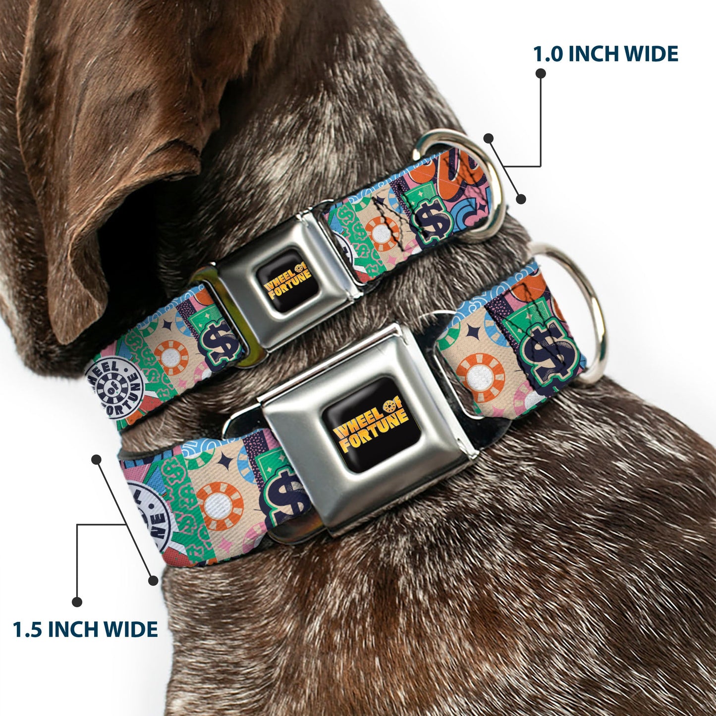 WHEEL OF FORTUNE Logo and WILD CARD Collage Multi Color Dog Collar