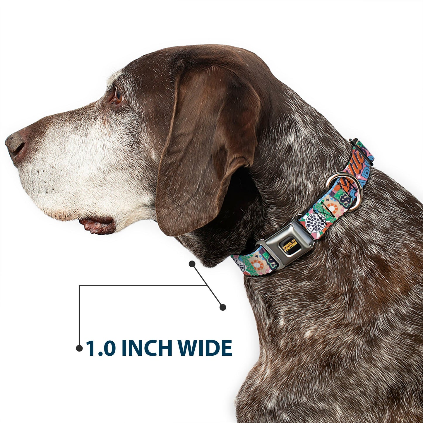 WHEEL OF FORTUNE Logo and WILD CARD Collage Multi Color Dog Collar