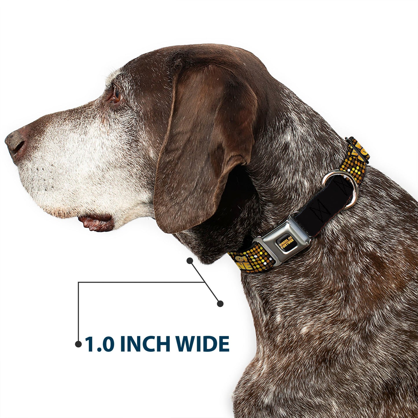 WHEEL OF FORTUNE Title Logo Sequin Dots Black/Oranges/Yellow Dog Collar
