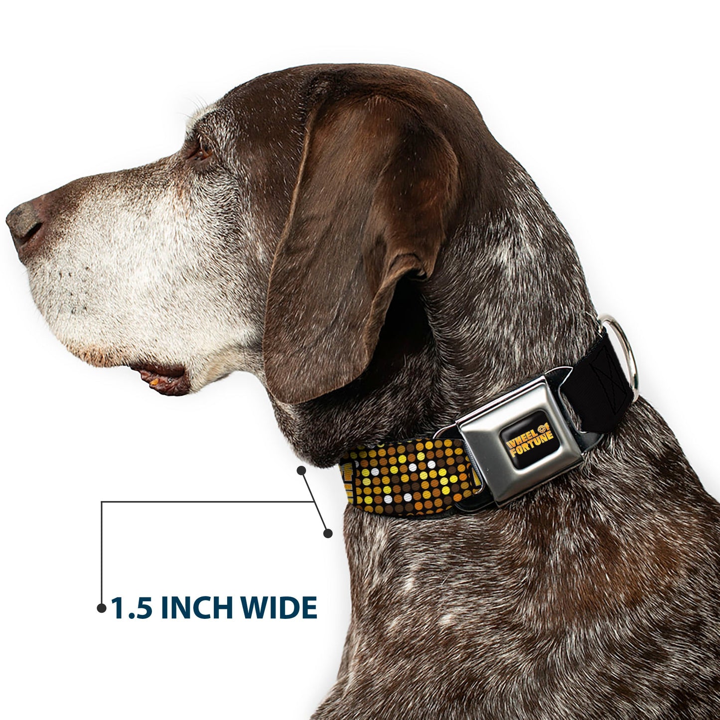 WHEEL OF FORTUNE Title Logo Sequin Dots Black/Oranges/Yellow Dog Collar