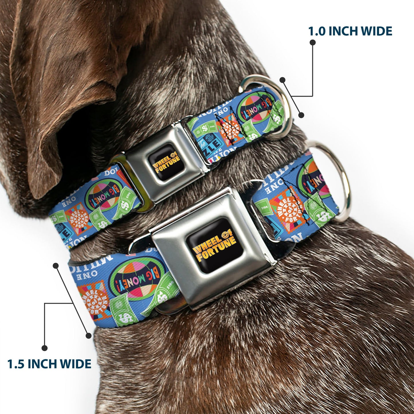 Wheel of Fortune Quotes and Prizes Collage Blue/Multi Color Dog Collar