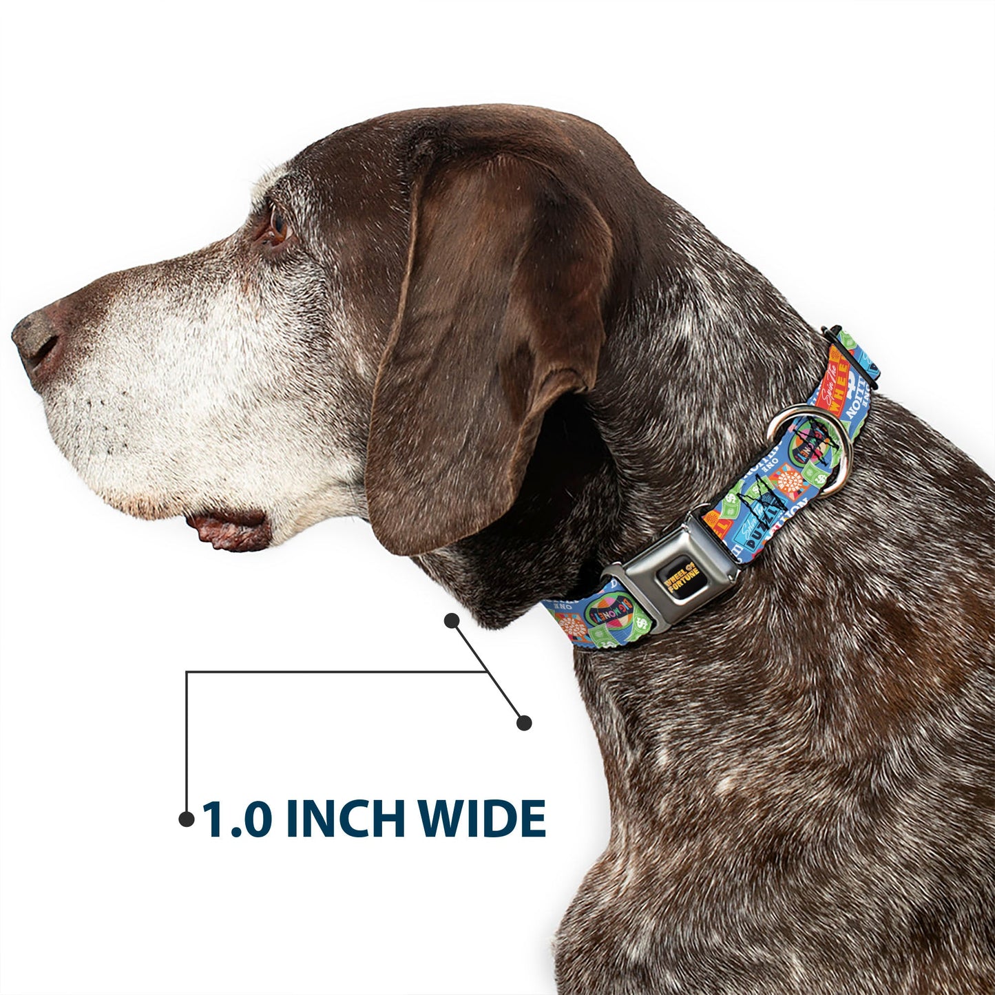 Wheel of Fortune Quotes and Prizes Collage Blue/Multi Color Dog Collar