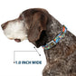 Wheel of Fortune Quotes and Prizes Collage Blue/Multi Color Dog Collar