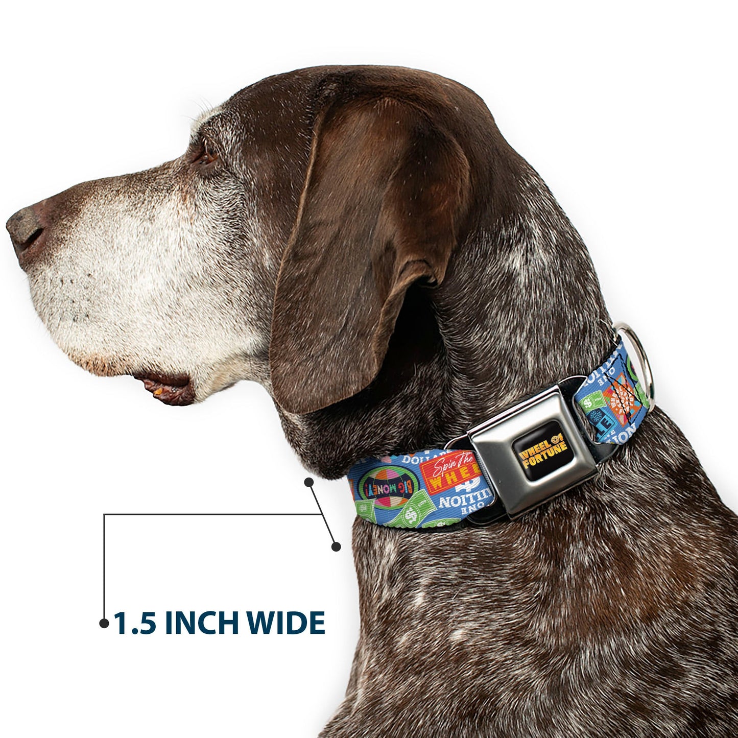 Wheel of Fortune Quotes and Prizes Collage Blue/Multi Color Dog Collar