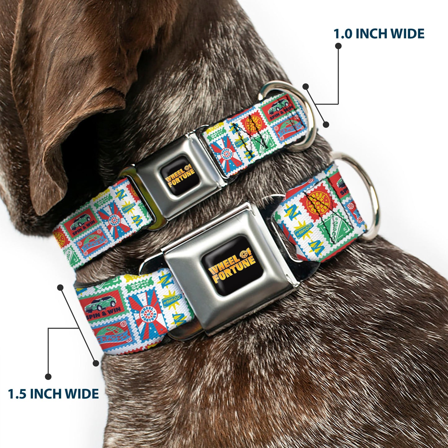 Wheel of Fortune Prize Blocks Collage White/Multi Color Dog Collar