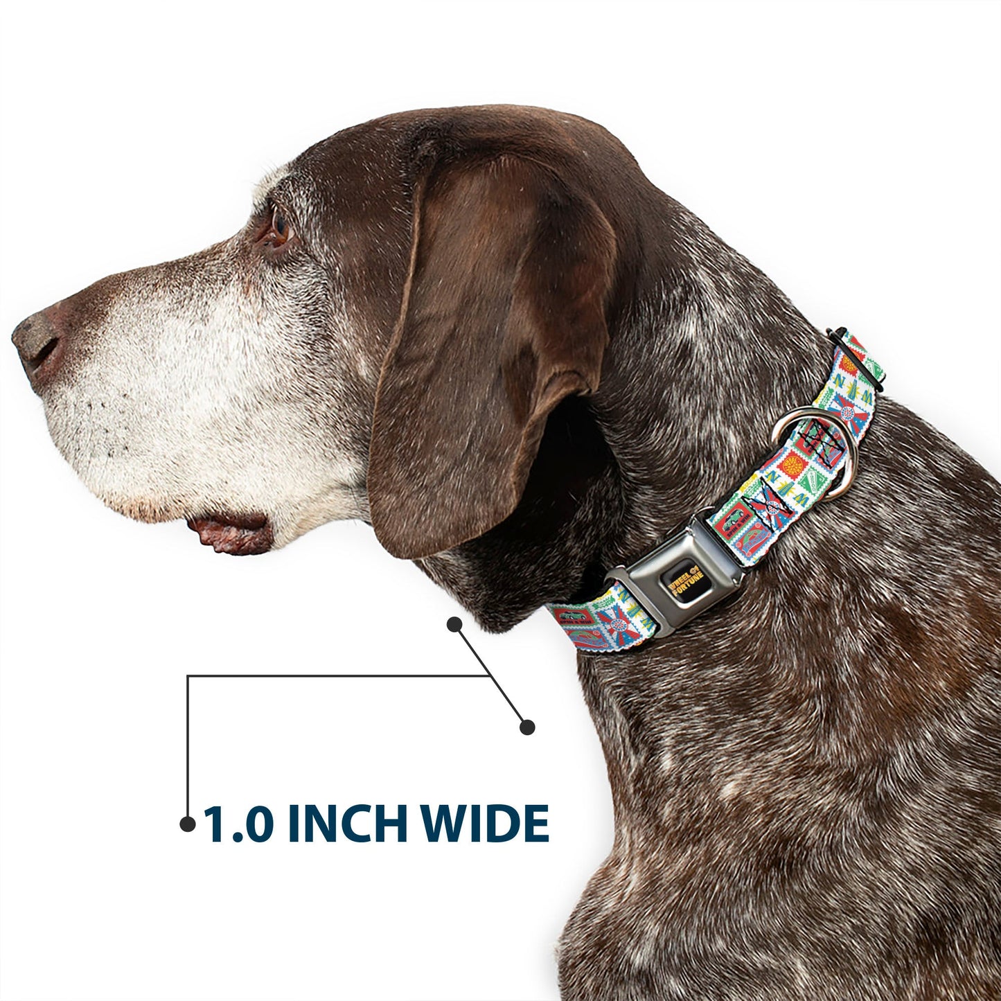 Wheel of Fortune Prize Blocks Collage White/Multi Color Dog Collar
