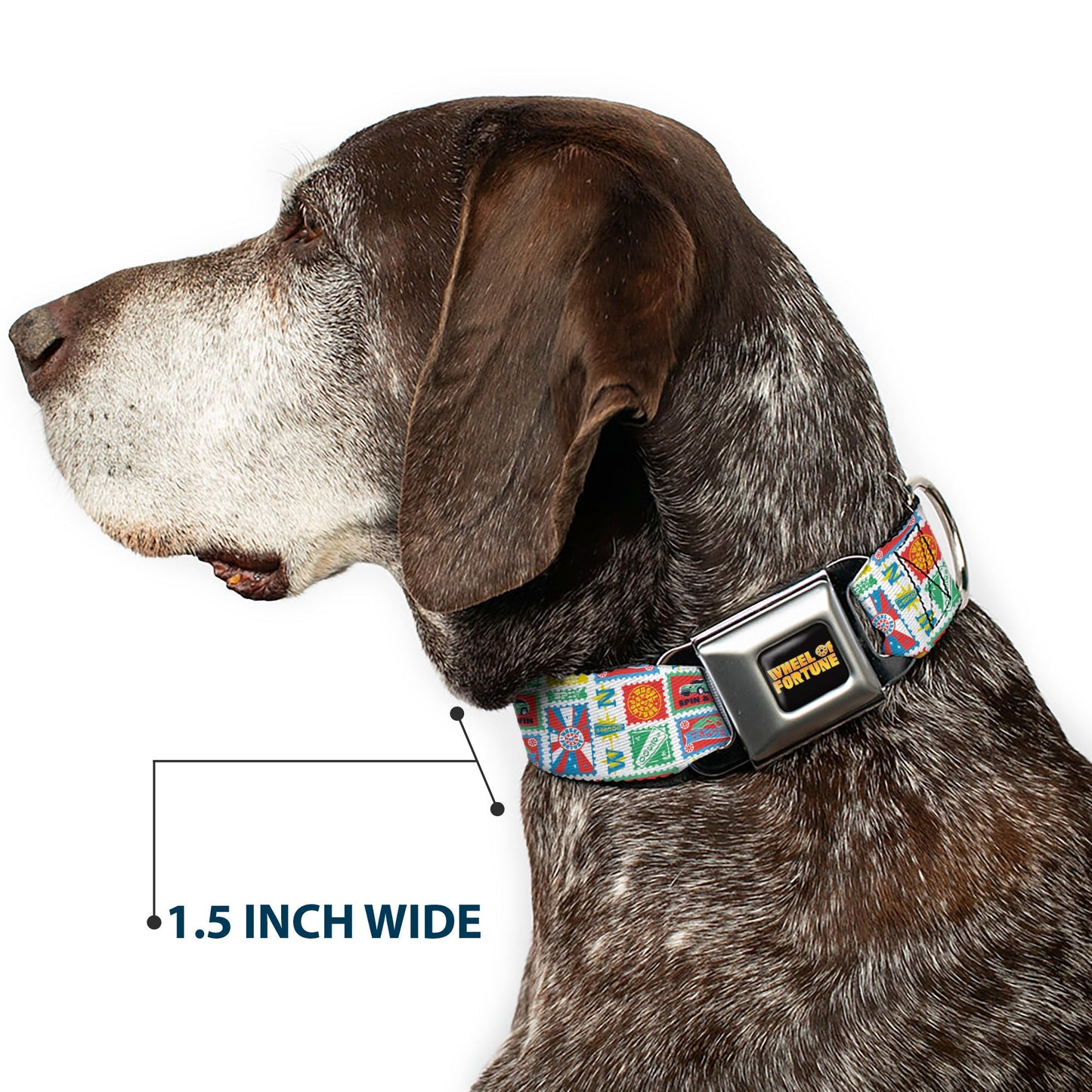 Wheel of Fortune Prize Blocks Collage White/Multi Color Dog Collar