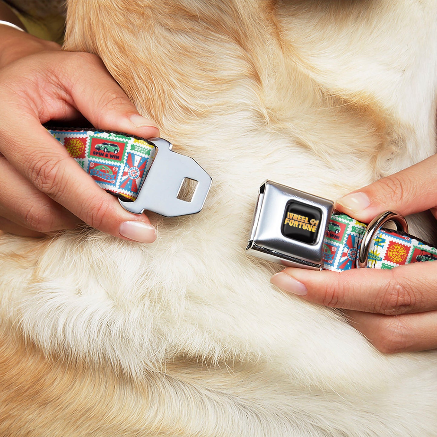 Wheel of Fortune Prize Blocks Collage White/Multi Color Dog Collar