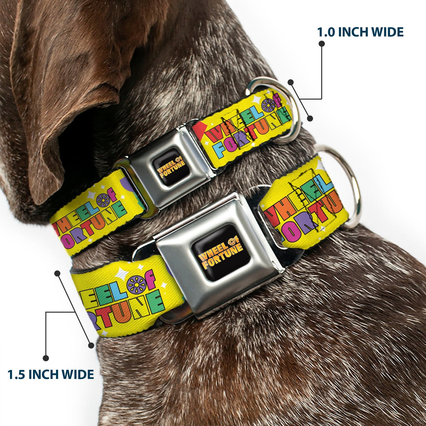 WHEEL OF FORTUNE Test and Wedge Collage Yellow/Multi Color Dog Collar