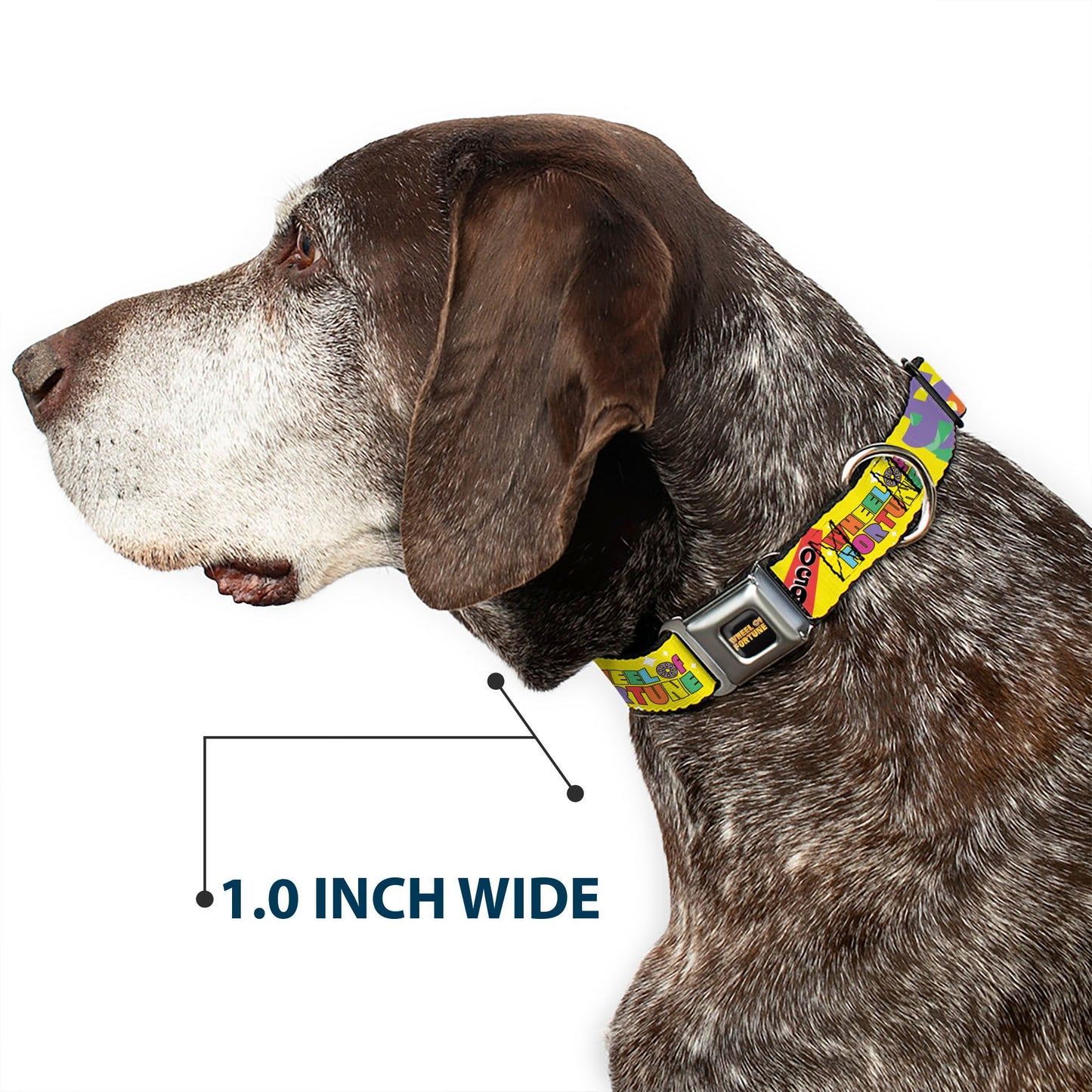 WHEEL OF FORTUNE Test and Wedge Collage Yellow/Multi Color Dog Collar