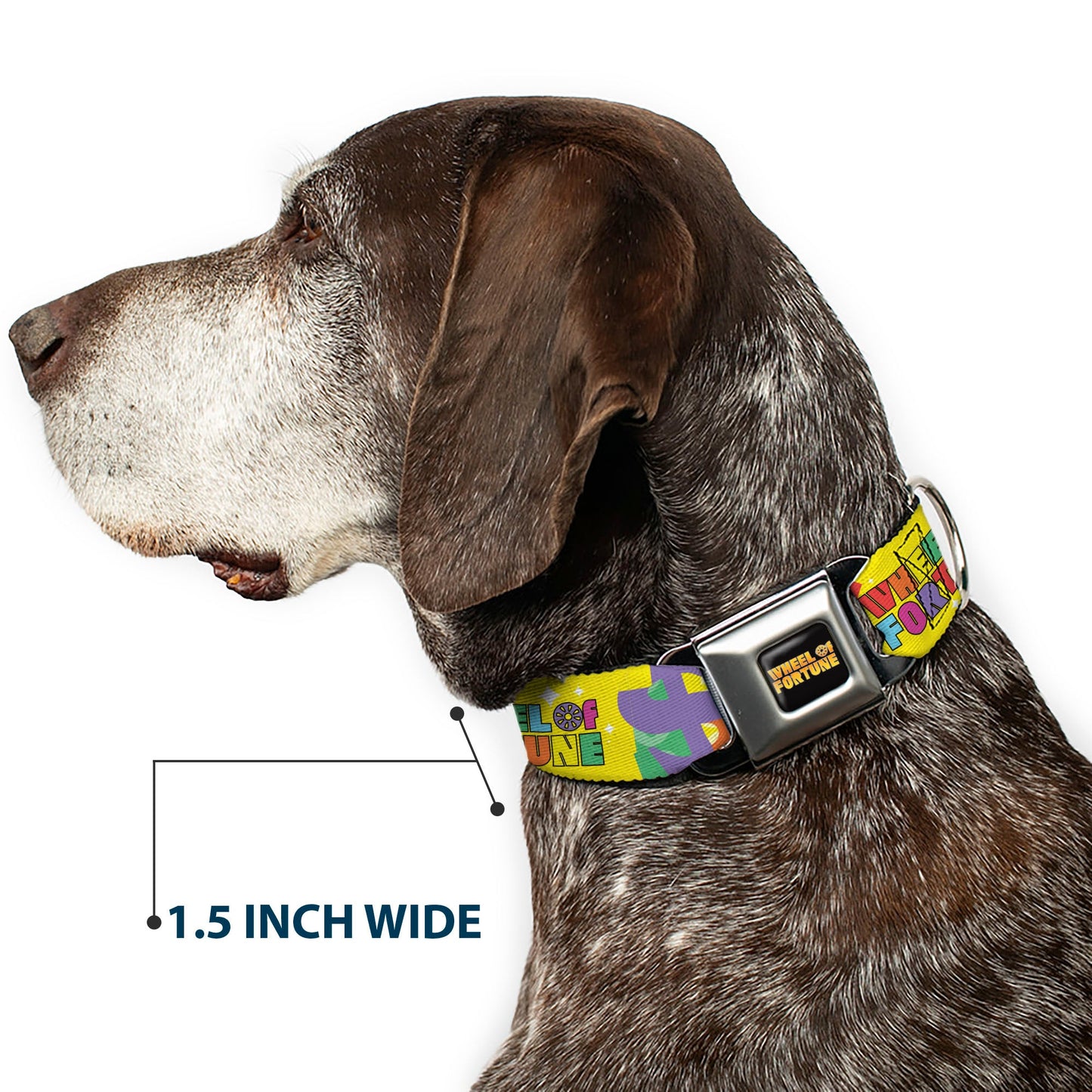 WHEEL OF FORTUNE Test and Wedge Collage Yellow/Multi Color Dog Collar