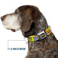 WHEEL OF FORTUNE Test and Wedge Collage Yellow/Multi Color Dog Collar